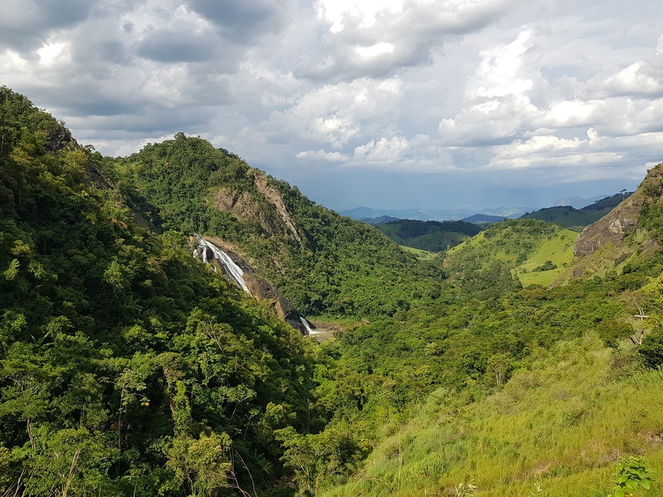 SOS Mata Atlântica